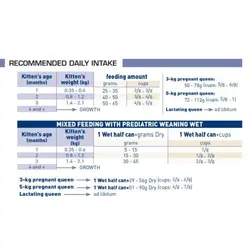 غذای خشک بچه گربه (کیتن) پدیاتینگ وینینگ رویال کنین