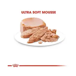 کنسرو سگ مینی استارتر رویال کنین _ Royalcanin