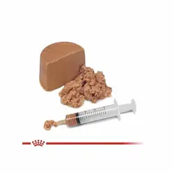 کنسرو سگ و گربه ریکاوری رویال کنین _ Royalcanin