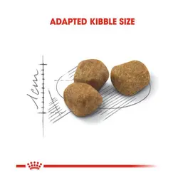 غذای خشک گربه دنتال رویال کنین _ 3kg