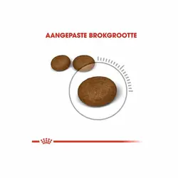 غذای خشک گربه مراقبت از پوست و مو رویال کنین _ 4Kg