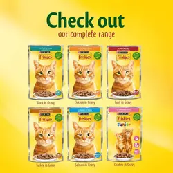 سوپ گربه بالغ فریسکیز با طعم ماهی سالمون _Friskies