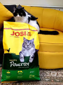 غذای خشک گربه جوسرا با طعم مرغ  _ 10Kg
