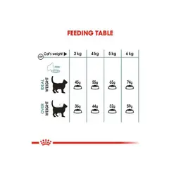 غذای خشک گربه هربال رویال کنین