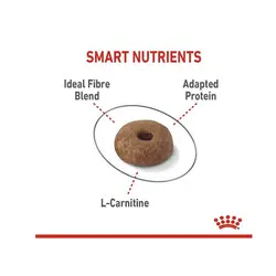 غذای خشک گربه رویال کنین لایت ویت _ Royal Canin