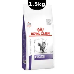 غذای خشک گربه دنتال رویال کنین _ dental