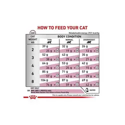 غذای خشک گربه رنال رویال کنین _ Royalcanin