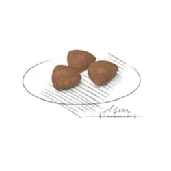 غذای خشک سگ مینی ایندور پاپی رویال کنین _ 2 کیلوگرم