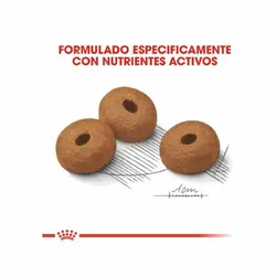 غذای خشک سگ مدیوم لایت ویت کر رویال کنین