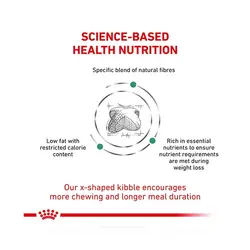 غذای خشک سگ ستایتی رویال کنین