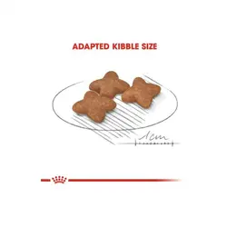 غذا خشک سگ مینی ادالت +8 رویال کنین