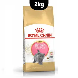 غذای خشک بچه گربه بریتیش شورت هیر