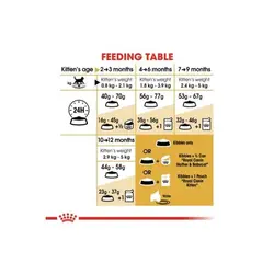 غذای خشک بچه گربه بریتیش شورت هیر