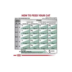 غذای خشک گربه ستایتی رویال کنین