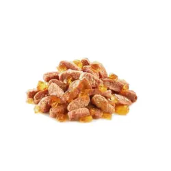 سوپ گربه بالغ استرلایزد رویال کنین _ Sterilised