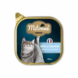 خوراک کاسه ای گربه میتونه با طعم ماهی سالمون _ Mitonne