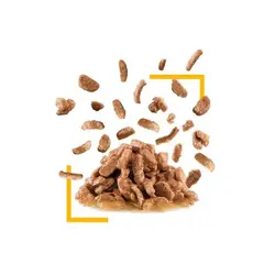 سوپ گربه بد غذا سنسوری تیست رویال کنین _ 85 گرم