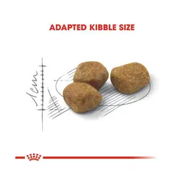 غذای خشک گربه ایندور لایف بالای 7 سال رویال کنین _ 1.5kg