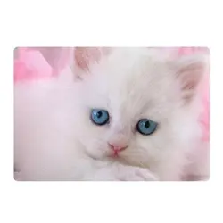 اسکین لپ تاپ طرح Cat کد 07