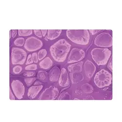 اسکین لپ تاپ طرح Colorful کد59 به همراه استیکر کیبورد