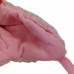 کلاه دخترانه تدی هویج