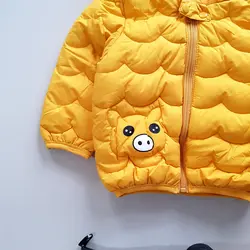 کاپشن اسپرت  بادی رنگی