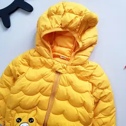 کاپشن اسپرت  بادی رنگی