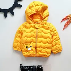 کاپشن اسپرت  بادی رنگی