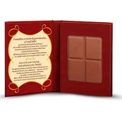 پودر برنزر چاكلت بورژوا Delice De Poudre