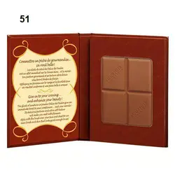 پودر برنزر چاكلت بورژوا Delice De Poudre