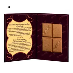 پودر برنزر چاكلت بورژوا Delice De Poudre