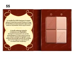 پودر برنزر چاكلت بورژوا Delice De Poudre