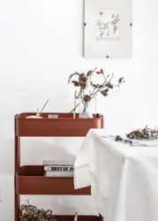 ترولی فلزی رنگ قرمز آجری تیرداد | فروشگاه اینترنتی تیرداد هوم