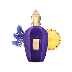 عطر زرجف اکسنتو - زرجف اچنتو - زرجف اشنتو