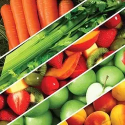 آبمیوه گیری فلر مدل PJB-82