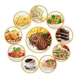 مایکروویو فلر مدل MW 342