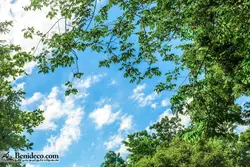 تایل سقفی 60*60 آسمان مجازی بنی دکو مدل LX 5647