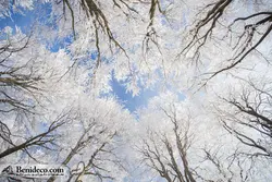 تایل سقفی 60*60 آسمان مجازی بنی دکو مدل LX 5644