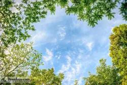 تایل سقفی 60*60 آسمان مجازی بنی دکو مدل LX 5641