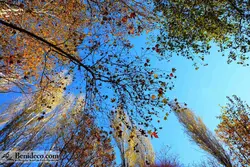 تایل سقفی 60*60 آسمان مجازی بنی دکو مدل LX 5631