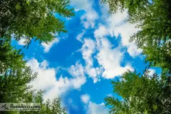 تایل سقفی 60*60 آسمان مجازی بنی دکو مدل LX 5607