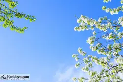 تایل سقفی 60*60 آسمان مجازی بنی دکو مدل LX 5610