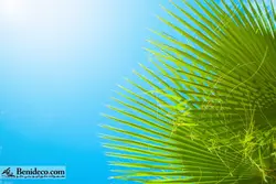 تایل سقفی 60*60 آسمان مجازی بنی دکو مدل LX 5600