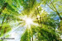 تایل سقفی 60*60 آسمان مجازی بنی دکو مدل LX 5529