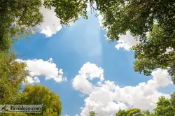 تایل سقفی 60*60 آسمان مجازی بنی دکو مدل LX 5522