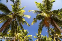 تایل سقفی 60*60 آسمان مجازی بنی دکو مدل LX 5517