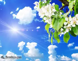 تایل سقفی 60*60 آسمان مجازی بنی دکو مدل LX 5518