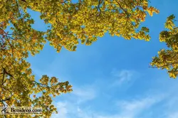 تایل سقفی 60*60 آسمان مجازی بنی دکو مدل LX 5510