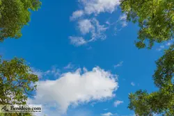 تایل سقفی 60*60 آسمان مجازی بنی دکو مدل LX 5551