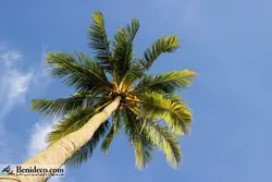 تایل سقفی 60*60 آسمان مجازی بنی دکو مدل LX 5542